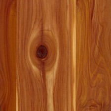 Hojas de madera de chapa de cedro aromático PS