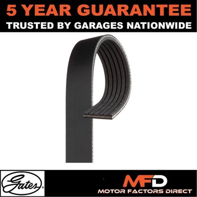 Drive Belt Gates Fits Dacia Sandero Duster Logan MCV 1.5 dCi 117201565R