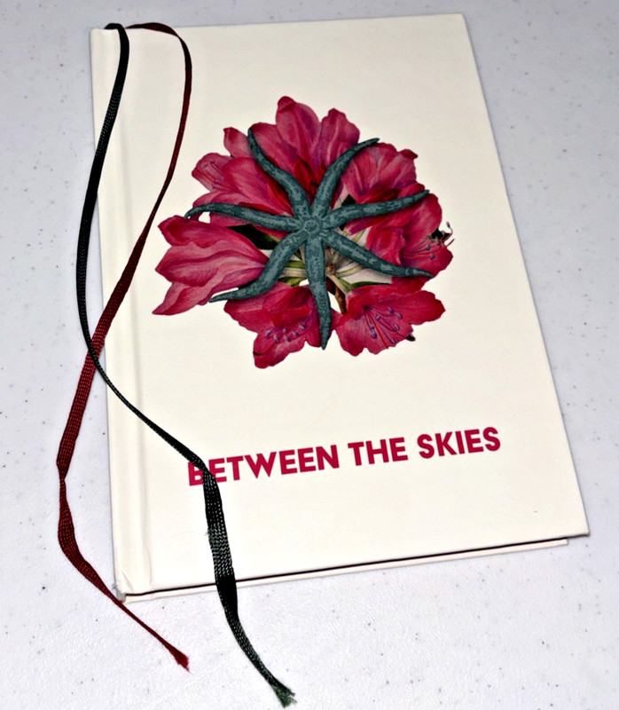 Between The Skies Collected Edition Hardcover RPG Exalted Funeral
