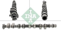 INA 428 0175 10 Nockenwelle FüR Chevrolet, Daewoo, Opel, Pontiac, Suzuki, Zaz
