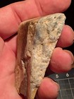 The Good Old Stuff: Landscape Jasper /Lot 11 — photo 4