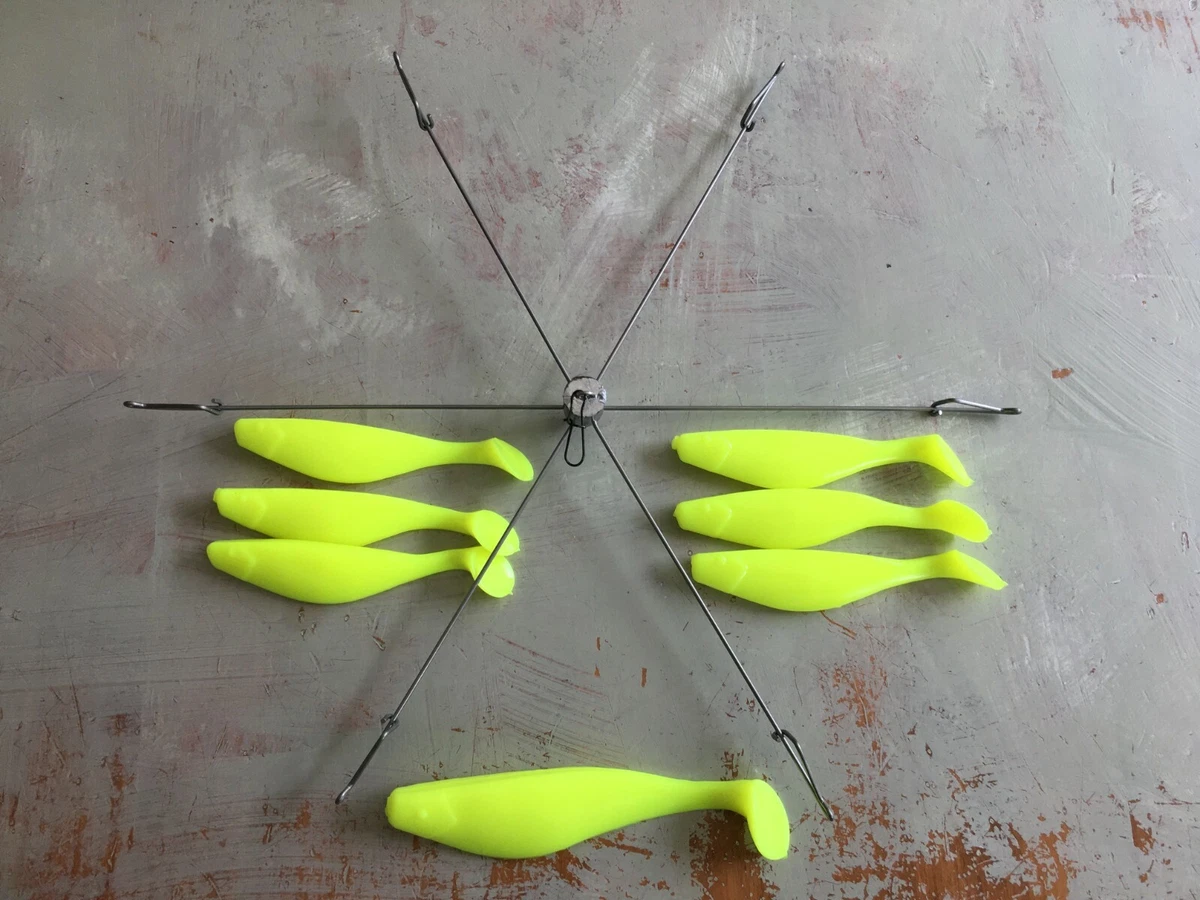 Umbrella rig 2024