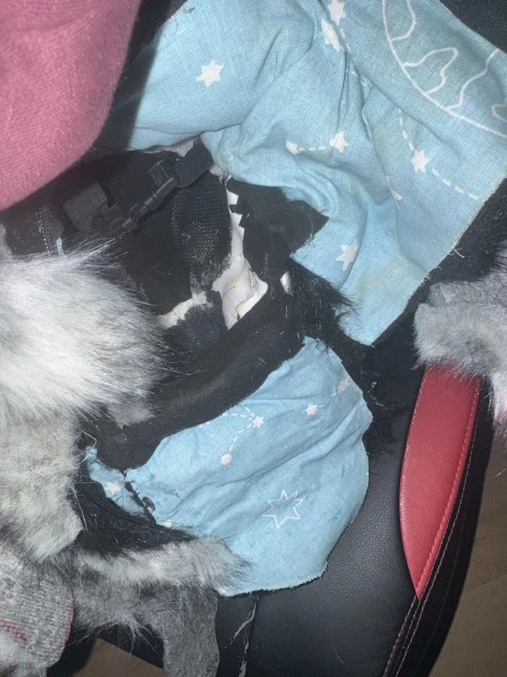 Traje de piel de cráneo de ciervo mandíbula móvil MQ hecho a medida completamente forrado Foto 4 de 4