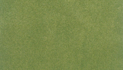 Woodland Scenics ~ Spring Grass ~ Project Sheet ~ 12 1/2'' x 14 1/8'' ~ RG5141