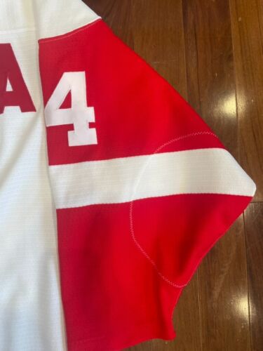 Authentic Brendan Shanahan Detroit Red Wings Vintage 90s NIKE NHL Jersey Sz 48 - Picture 8 of 19