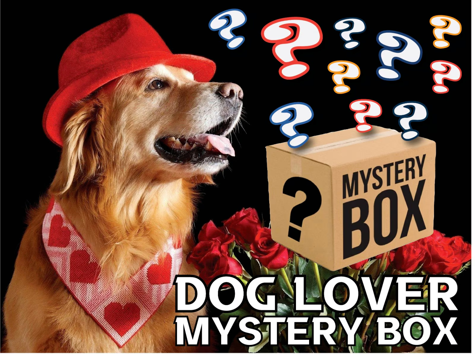 scatola mystery sorpresa box regalo per cane dog accessori giochi guinzaglio