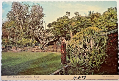 Uncommon 1971 POIPU KAUAI MOIR'S PLANTATION GARDENS Hawaii Postcard D4