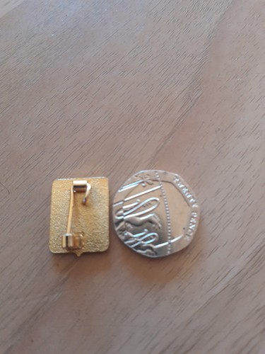Rare Burton ALBION Badge - Picture 3 of 3