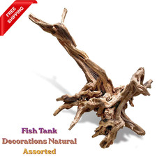 Large Driftwood for Aquarium Fish Tank Decorations 11-18 Inches/1 Pack