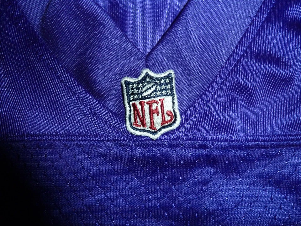 NFL 锐步明尼苏达维京人 Fran Tarkenton #10 球衣男式 L 码 — 第 4/4 张图片