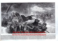 Shepherd Dogs Vs Wolf Pack, Saving Sheep Flock, 1860s Antique Engraving Print