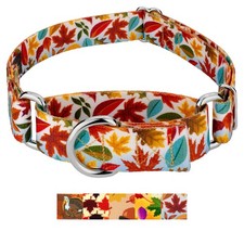 Country Brook Petz Martingale Dog Collar - Awesome Autumn Collection