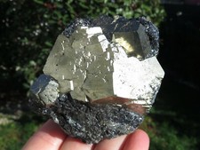 Minerali *** PIRITE PENTAGONALE su EMATITE NERA Isola d'Elba