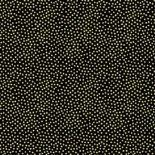Garden Pindot cotton quilt fabric Michael Miller CX1065 White Dots on Black