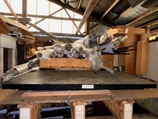 Heavy Duty Industrial Platform Floor Scale 78" x 39"