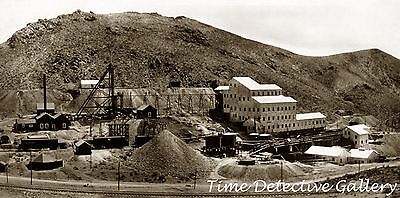 Goldfield 1910 Historic Photo Print 20-Mule Team at Mine Mill Nevada 