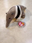 TY Beanie Baby ANTS the Aardvark 1998 Tags & Protector Retired Vintage Ant Eater