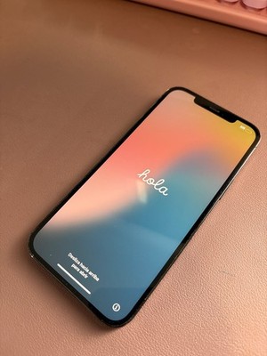 Apple iPhone 12 Pro Max - 256 GB - Graphite (Spectrum)