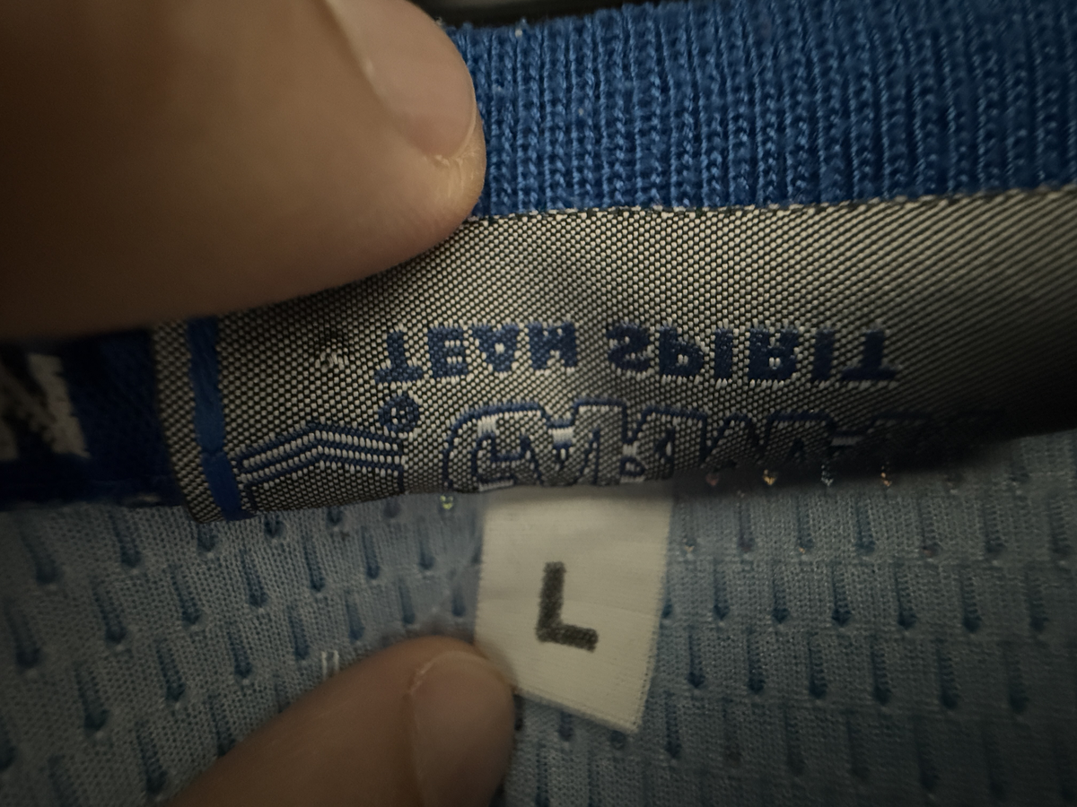 Authentic Roberto Baggio 2000-2001 Brescia Garman Jersey/Large