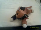 Vtg. Ty Beanie Baby-Chip the Cat-org tags-DOB 1/26/1996