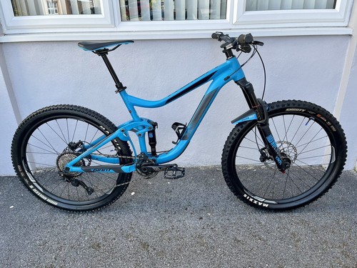 Enduro Mountain Bike Stumpjumper Remedy 