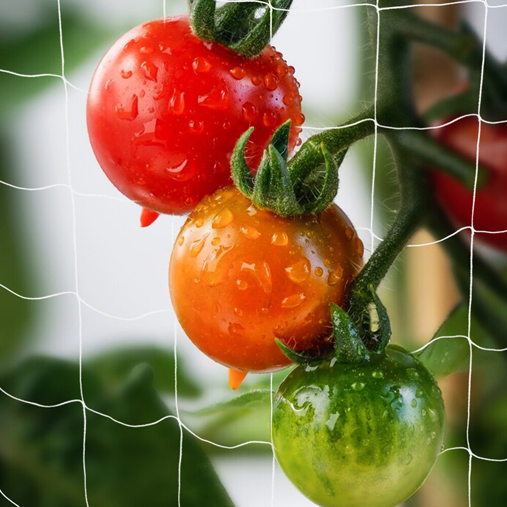 2 Pcs Kletterpflanze Rankenhilfe Für Gurken Gitter eBay