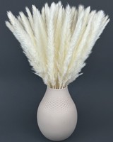 Pampasgras Getrocknet Weiß – 15 Stiele Trockenblumen Boho Deko Vase Wohnzimmer