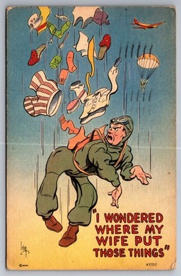 Postcard  Humor Wondered where my Wife put those things  L-17M