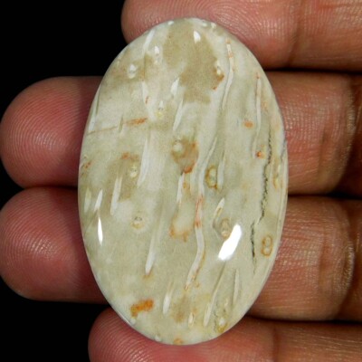 Natural Palm Root Agate Oval Cabochon 44.00Cts. Reiki Healing Loose Gemstone