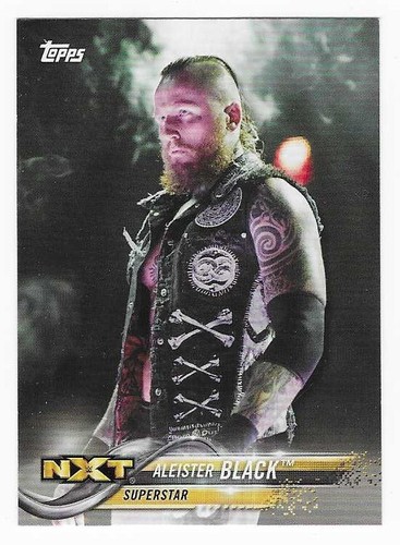 2018 Topps WWE NXT Aleister Black Superstar Wrestling Karte #5