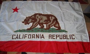 California State Flag  4'x6' outdoor nylon, made by Emerson in California (mars)