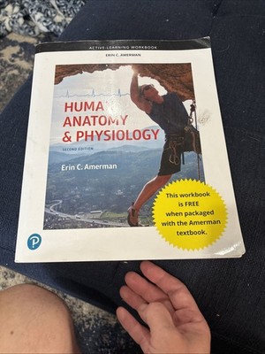 Active-Learning Workbook for Human Anatomy & Physiology by Amerman Erin C