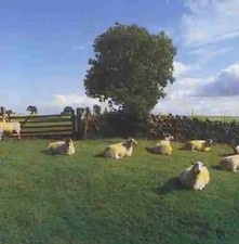 The KLF - Chill Out ZUSTAND SEHR GUT
