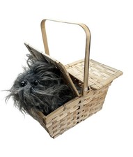 The Wizard of Oz Toto in a Basket Costume Accessory Plush Rubie's 583 NWT