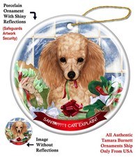 Poodle Santa...I Can Explain Holiday Ornament