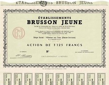 Établissements Brusson Jeune, Action de 3.125 Francs 1906