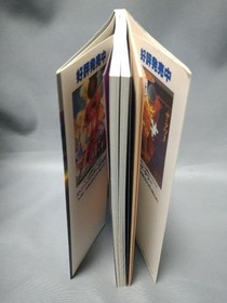 Dark Savior Sega Saturn Perfect Strategy Special