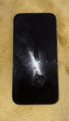 Apple Blue iPhone 13 Pro 256GB (Read Description