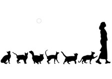 Removable Switch Sticker, 2 Pcs Lovely Girl and Cats Cartoon Wall Sticker, Li...