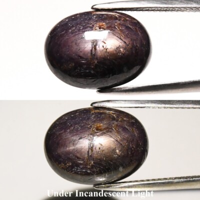   14.04ct Oval Cabochon Deep Purple 6 Ray Star Sapphire - Unheated Africa Gem