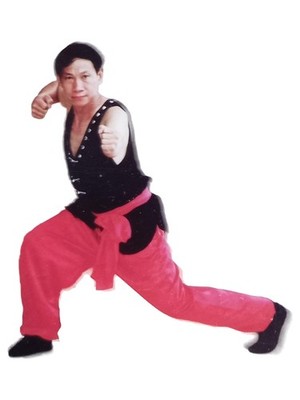 Nan Shaolin Fu Hu Quan Kung Fu Lehrvideo CD Meister Huang Da Xiong Kampfkunst