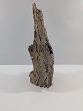 Mangrovenwurzel #03 (LBH ca. 22 cm x 20 cm x 53 cm)