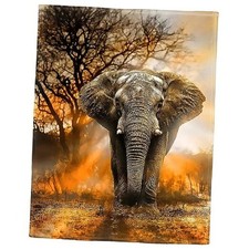 50"x60" Orange African Elephant Blanket Soft Fluffy Fleece Throw for 50" x 60"