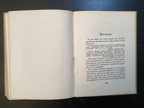 Chicago and Its Cess-Pools of Infamy- Samuel Paynter Wilson HC Boook - Picture 18 of 23