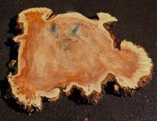 Mappa burl | cookie cut | live edge | DIY | river table | p23-1021