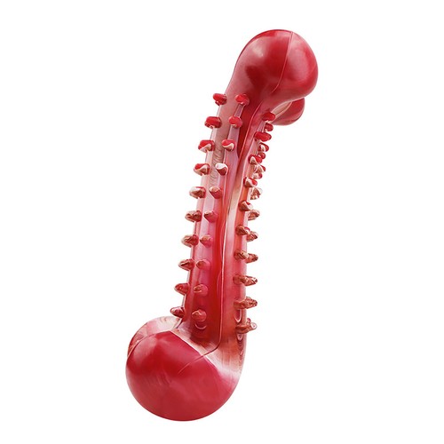 1 Stück Haustier Hundespielzeug Langlebig Kaustab Garten Knochen Backenzahn Haus Zähne Reinigung Park - Bild 7 von 25