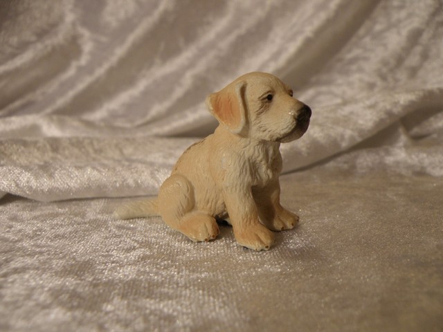ebay golden retriever puppies for sale