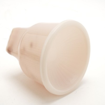 Gary Fong Lightsphere II Photojournalist Speedlight Flash Modifier