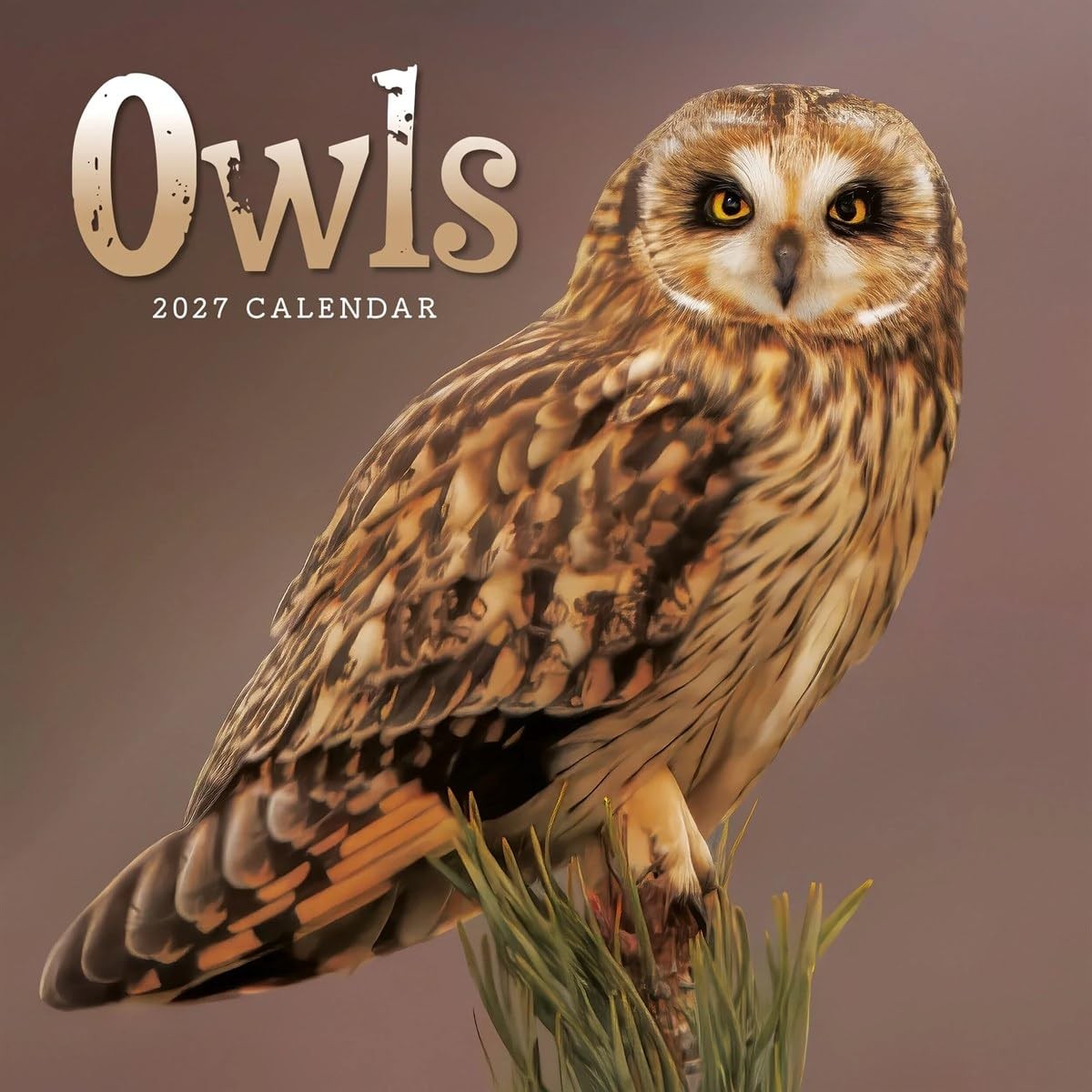Carousel Worldwide Owls 2027 Mini Wall Calendar 12-Month | PB | 2026 - Image 3