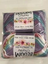 Premier Bloom Chunky Yarn Wildflower 2 Pack Same Dye Lot #1114-10